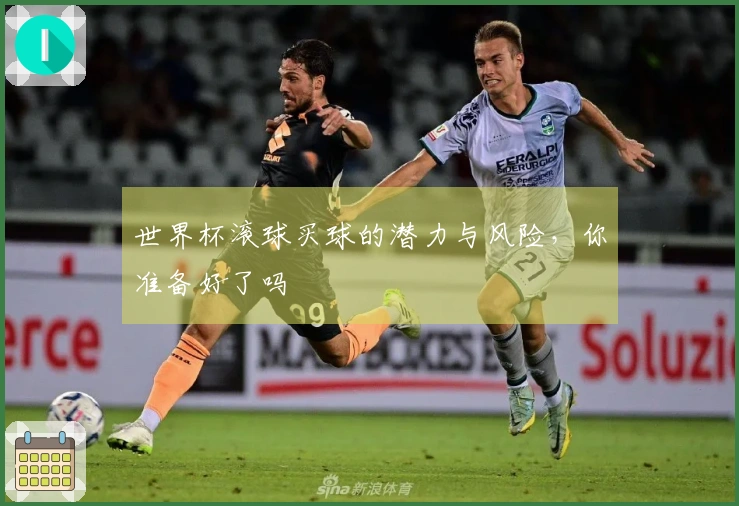 世界杯滚球买球的潜力与风险，你准备好了吗
