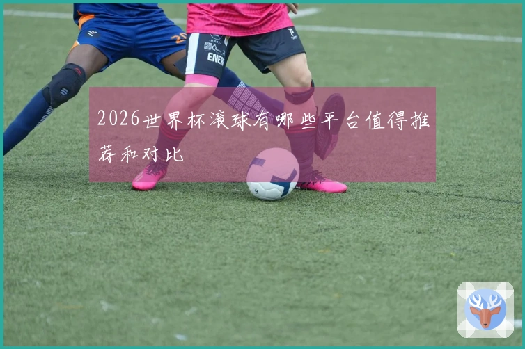 2026世界杯滚球有哪些平台值得推荐和对比