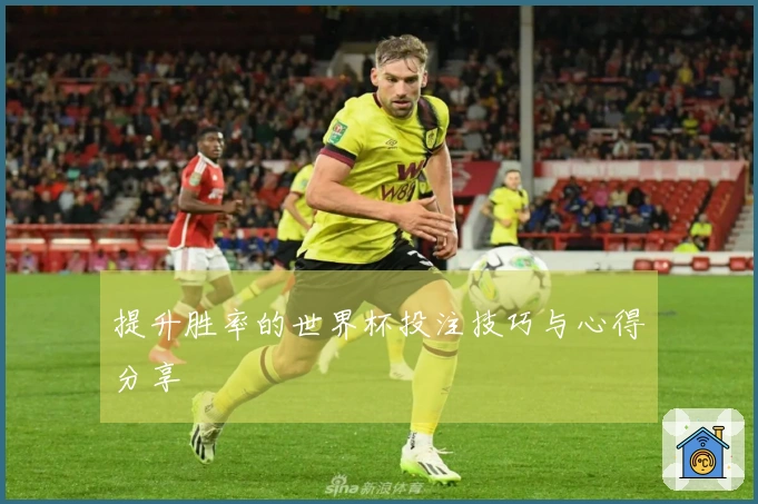 提升胜率的世界杯投注技巧与心得分享