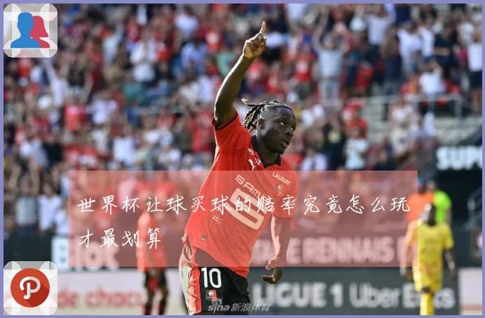 世界杯让球买球的赔率究竟怎么玩才最划算